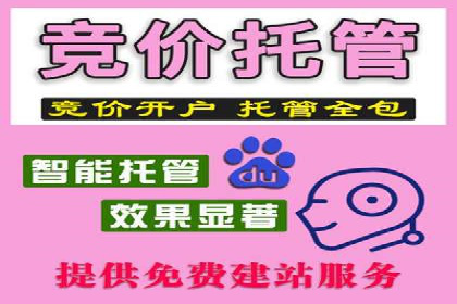 深入了解SEM托管在竞价推广中的应用——以一则经典案例为镜
